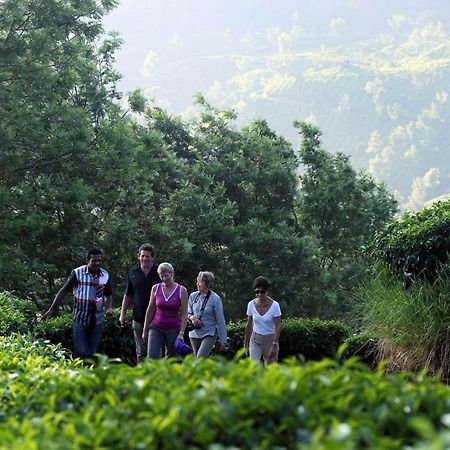 Shamrock Holiday Home Munnar Exterior photo