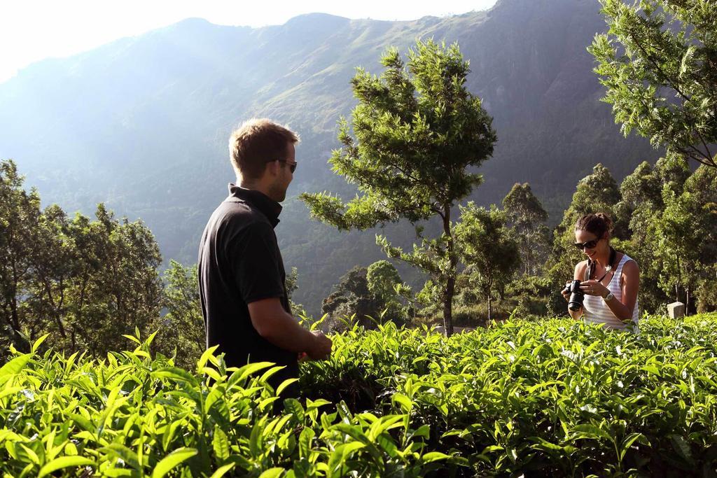 Shamrock Holiday Home Munnar Exterior photo