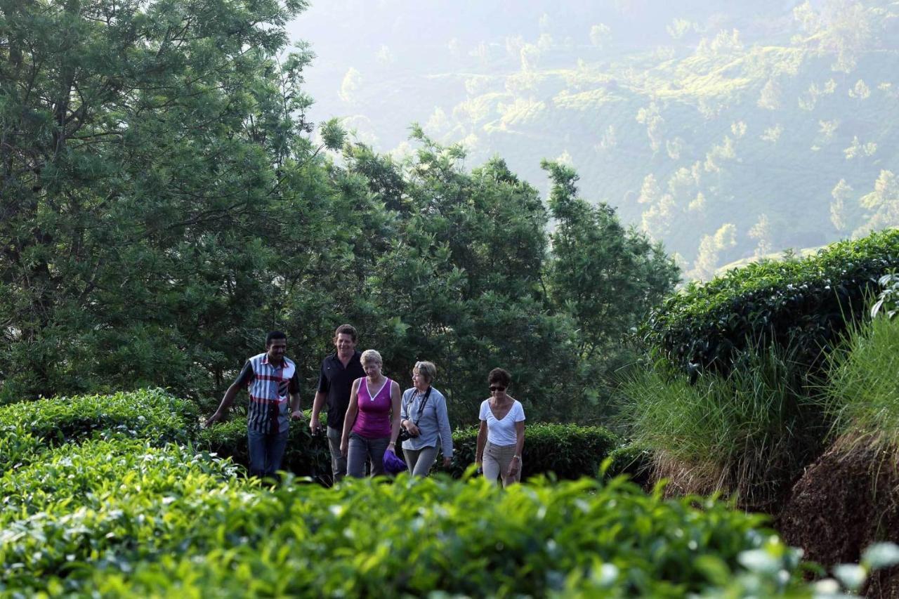 Shamrock Holiday Home Munnar Exterior photo